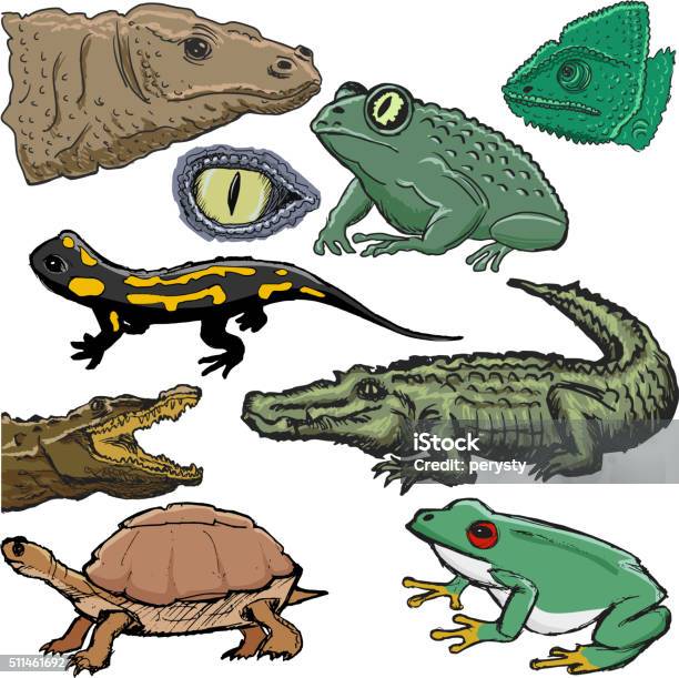 Set Of Illustrations Of Reptiles With Crocodile Lizard Turtle Stock Illustration - Download Image Now