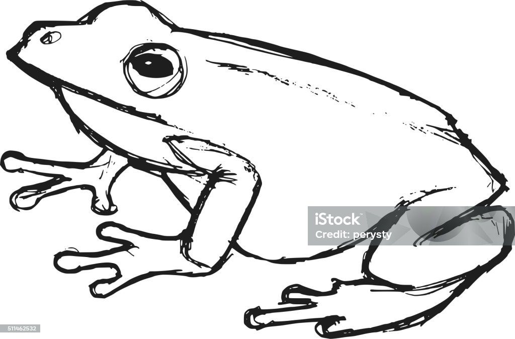 hand drawn, grunge, sketch illustration of tree frog tree frog, illustration of wildlife, zoo, wildlife, animal of rainforest Sketch stock vector