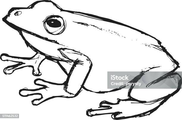Hand Drawn Grunge Sketch Illustration Of Tree Frog Stock Illustration - Download Image Now