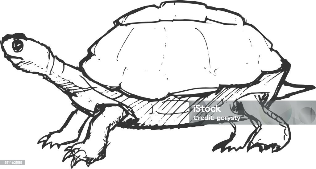 hand drawn, grunge, sketch illustration of turtle turtle, illustration of wildlife, zoo, wildlife, reptile Drawing - Art Product stock vector