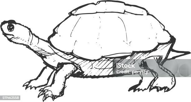 Hand Drawn Grunge Sketch Illustration Of Turtle Stock Illustration - Download Image Now - Drawing - Art Product, Turtle, Walking