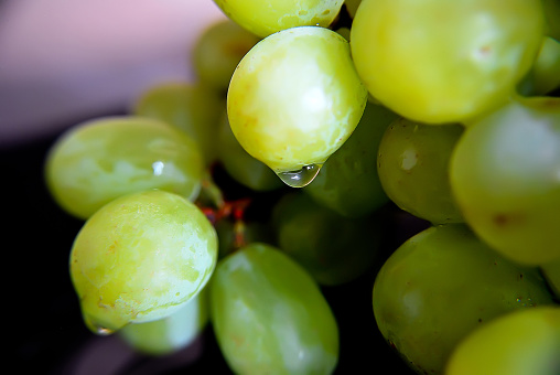 grapes green with drops of water 