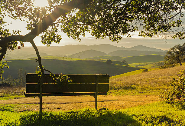 Park Bench at Sunset Petaluma CA Helen Putnam Park Bench at Sunset petaluma stock pictures, royalty-free photos & images