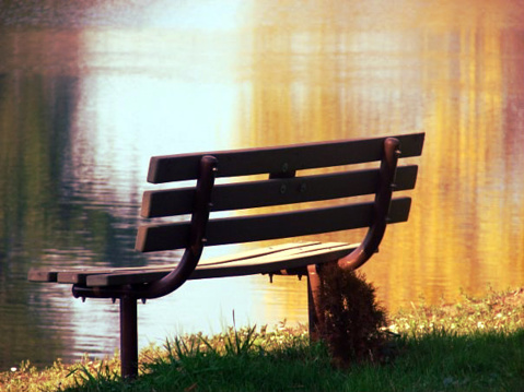 Park Bench at Hyde Park in City of Westminster, London, with people visible in the background.