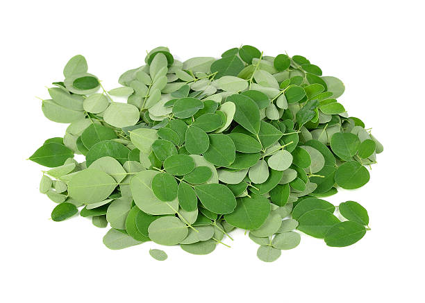 istock Moringa oleifera leaves isolated on white background 511467756
