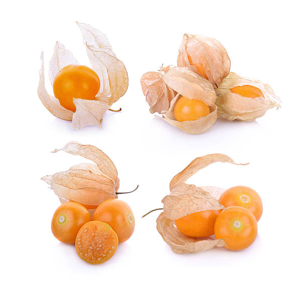 cabo groselha verde (physalis isolado no fundo branco) - gooseberry winter cherry uchuva isolated imagens e fotografias de stock