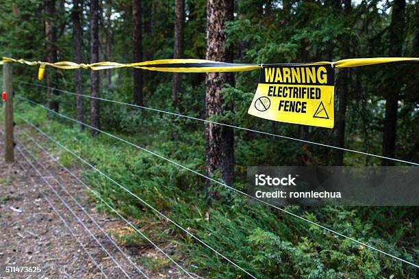 Electric Fence Warning Stock Photo - Download Image Now - Bear, Electricity, Fence