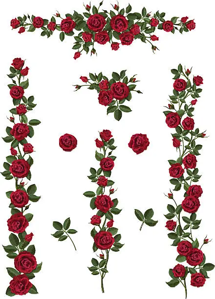 Vector illustration of set brushes flowers climbing red roses