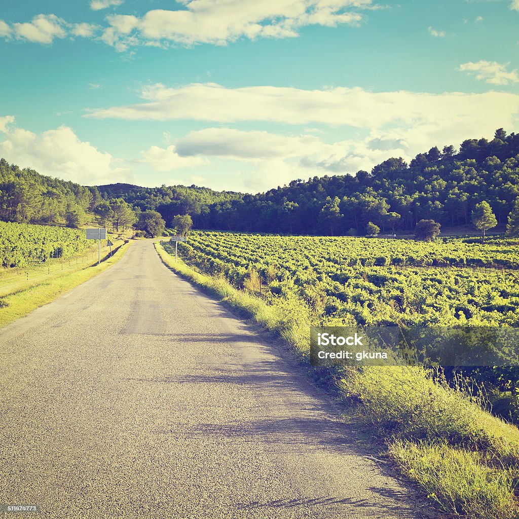 Vineyard Winding Paved Road near Vineyard in France, Retro Effect Agricultural Field Stock Photo