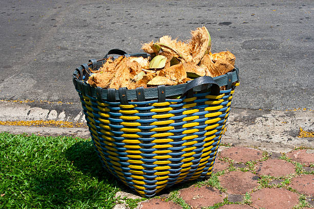 Big Basket of Coconut Shell