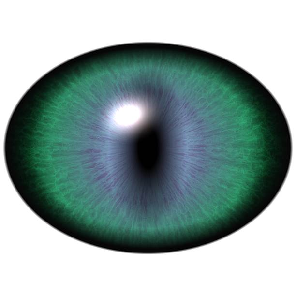 istock Green eye with large pupil and dark iris around pupil 511476178
