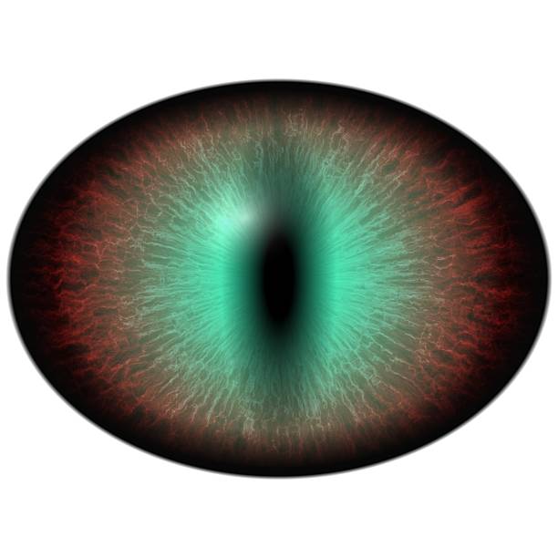 istock Raptor purple eye with large pupil and thin green retina 511476232