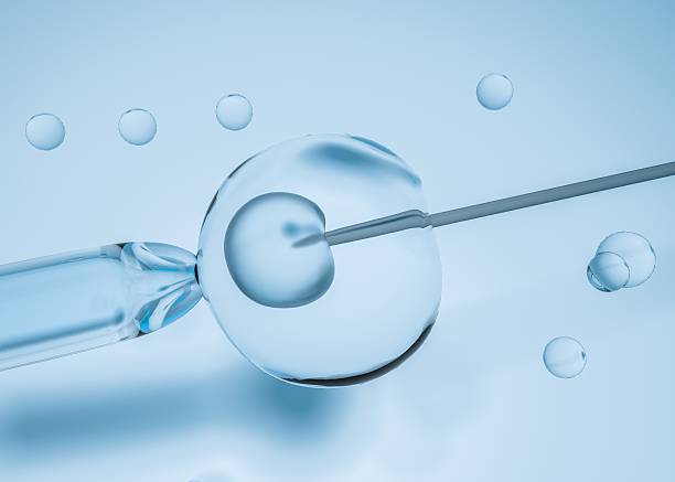 istock In vitro fertilization research (IVF) in laboratory. 3D digital illustration 511476552