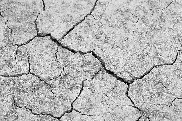 istock close-up of dry dracked soil ground 511478373
