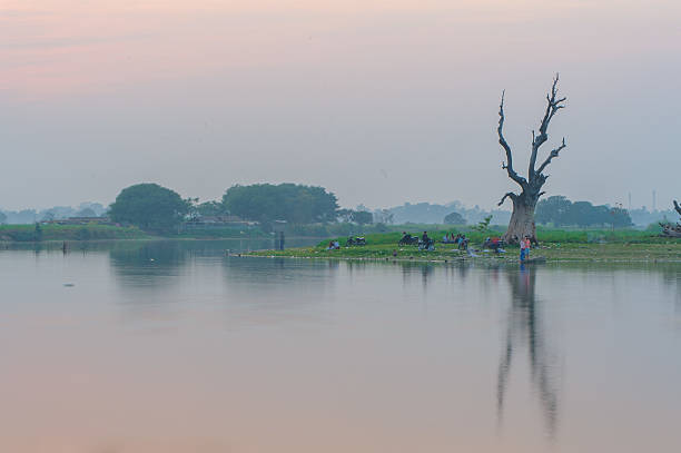 Sunset from b bein bridge, Myanmar Sunset with silhouette of a dead tree in myanmar Amarapura stock pictures, royalty-free photos & images