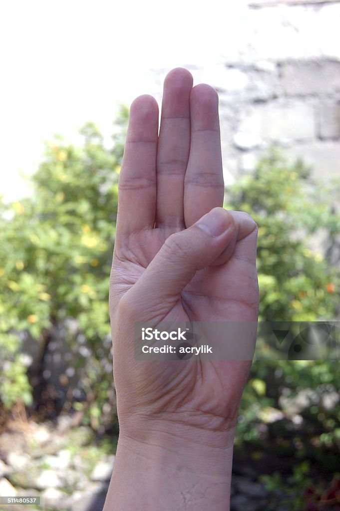 W sign language photo Photograph image of W sign language or number three (3) symbol Letter W Stock Photo