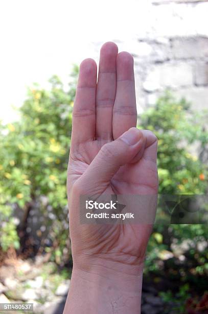 W Sign Language Photo Stock Photo - Download Image Now - Letter W, Outdoors, Adult