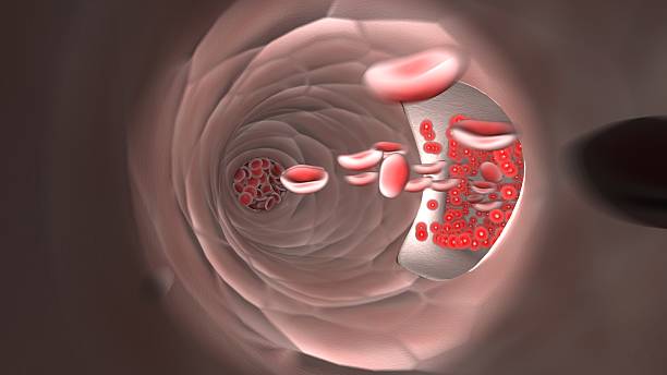 istock Endoscopic view of flowing red blood cells in a vein 511481330