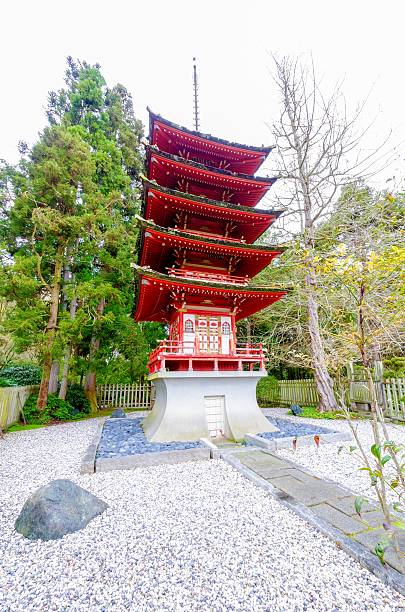 istock Japanese Tea Garden, San Francisco 511485970