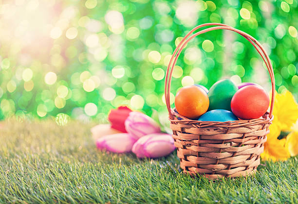 bunte easter eggs in basket - daffodil easter egg hunt easter easter egg stock-fotos und bilder