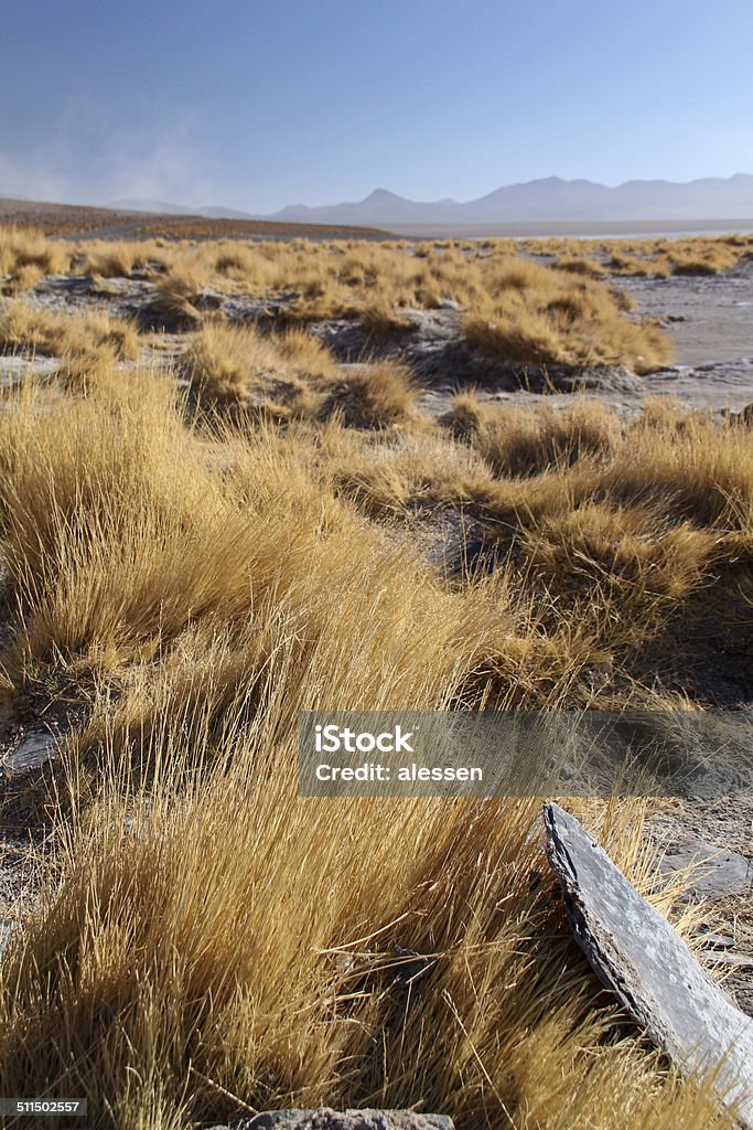 Atacama desert Atacama desert on Chilean Bolivian border. Bolivia Stock Photo