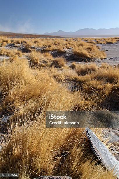 Atacama Desert Stock Photo - Download Image Now - Bolivia, Desert Area, Landscape - Scenery