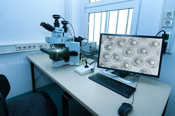 Modern microscope station in research facility Modern microscope station with zebrafish embryos on the screen animal embryo photos stock pictures, royalty-free photos & images