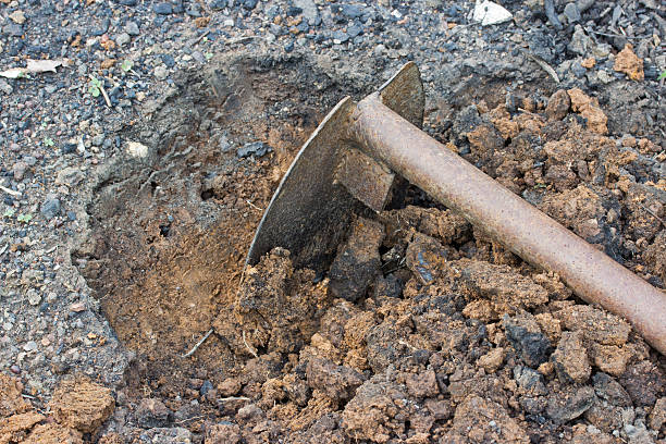 istock Hoeing and tilling the land 511505743