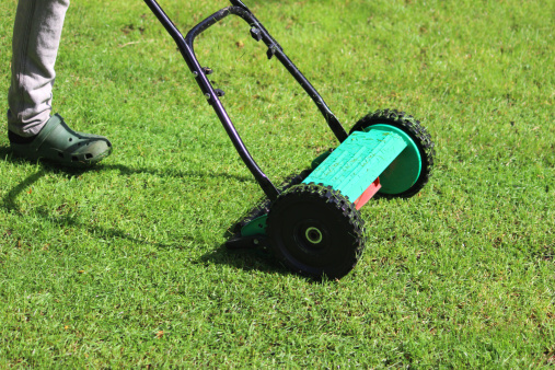 Photo showing a gardener mowing the lawn with a red and green push lawnmower / metal cylinder mower.  The fine lawn grass is regularly mowed short, with the rear roller on the mower leaving stripes on the grass.  The lawn is particularly green, as it has recently been fed and is watered with a sprinkler during periods of hot and dry weather.