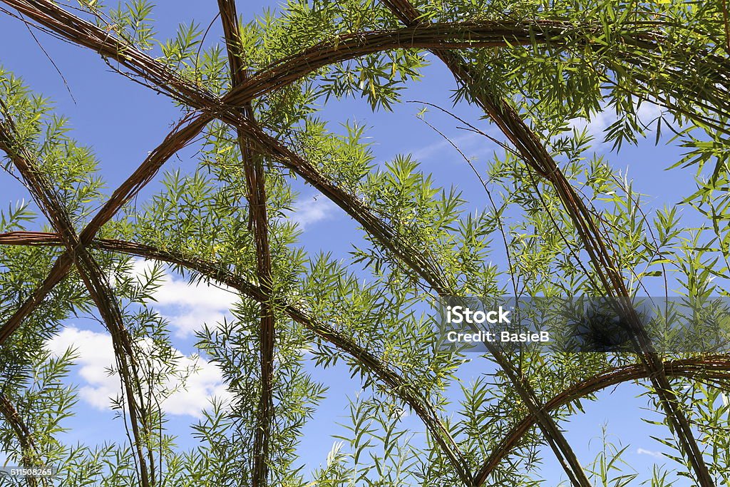 Blick auf den Himmel - Lizenzfrei Ast - Pflanzenbestandteil Stock-Foto