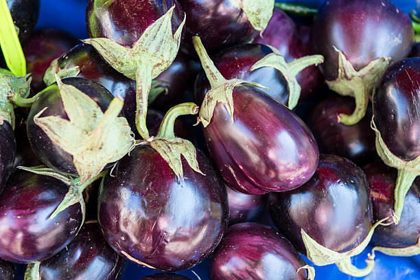 eggplants - eggplant farmers market purple agricultural fair - fotografias e filmes do acervo