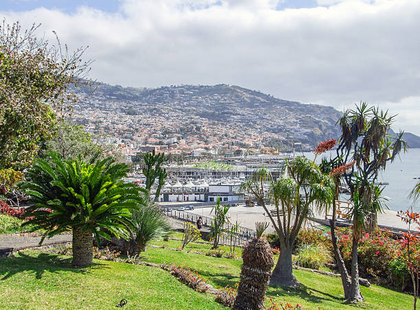 istock Funchal in Madeira 511513760