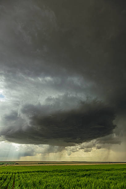 istock Large threatening thunderstorm rains on cultivated farmland 511513848