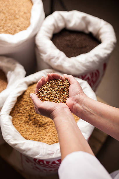 istock barley in big bags the brewery 511514116