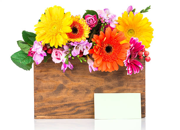 꽃 상자에 - bouquet tulip greeting card gerbera daisy 뉴스 사진 이미지