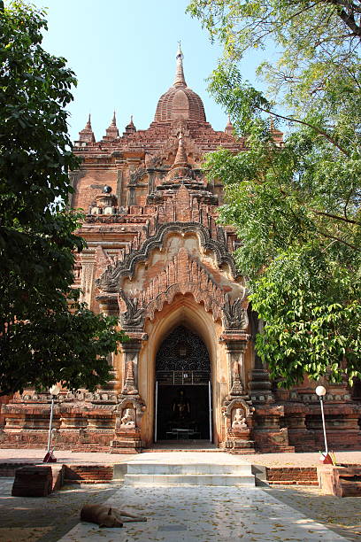 templi buddisti di bagan, myanmar - gawdawpalin pagoda foto e immagini stock