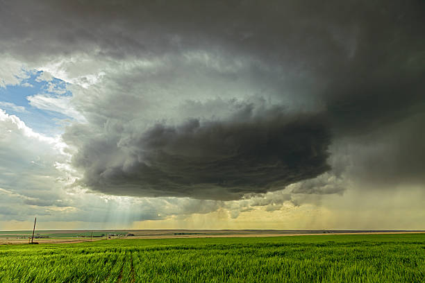 grande minaccia temporale ruota su terreno agricolo coltivato - storm wheat storm cloud rain foto e immagini stock