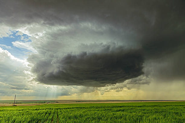 duże zagrożenie burza z piorunami obraca ponad uprawne gruntów rolnych - storm wheat storm cloud rain zdjęcia i obrazy z banku zdjęć
