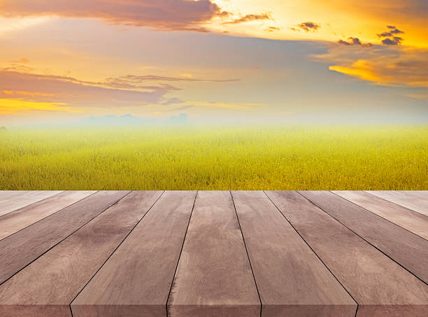 istock Wood plank and natural grass field with sky background 511517642