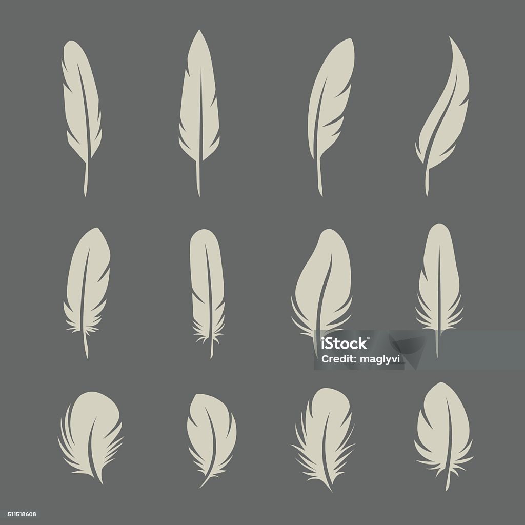 Feathers retro set Feathers set on dark background in vector Feather stock vector