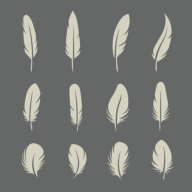 Feathers retro set Feathers set on dark background in vector feather illustrations stock illustrations