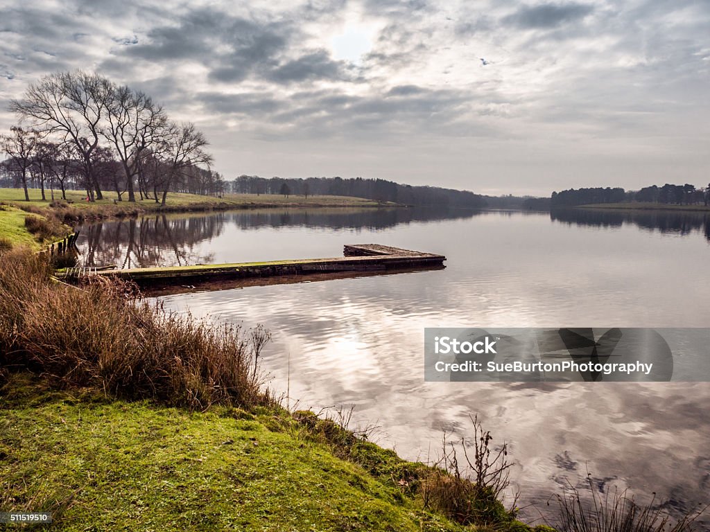 Tatton park Winter at Tatton Park, Knutsford, Cheshire, UK Knutsford Stock Photo