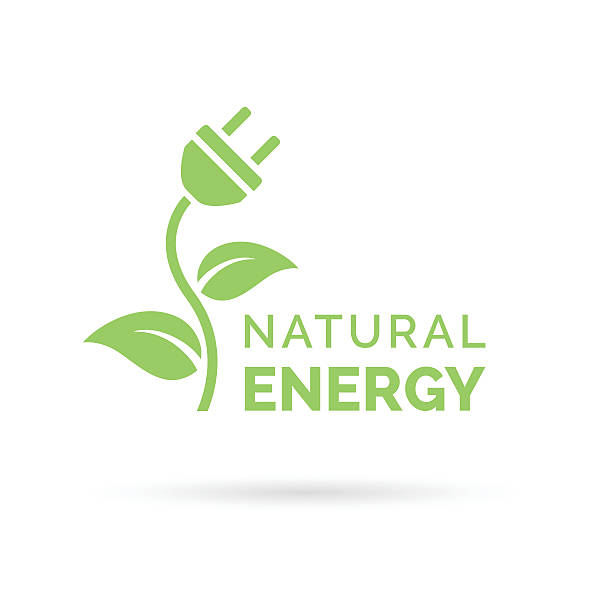 Natural energy icon with electric plug, plant and leaf symbol Natural green eco energy icon with electric plug, plant and leaf symbol. Vector illustration. two pin plug stock illustrations