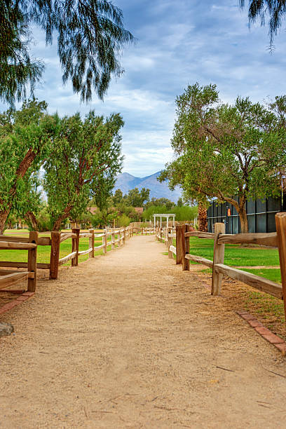istock Green Oasis in Death Valley National Park 511522152
