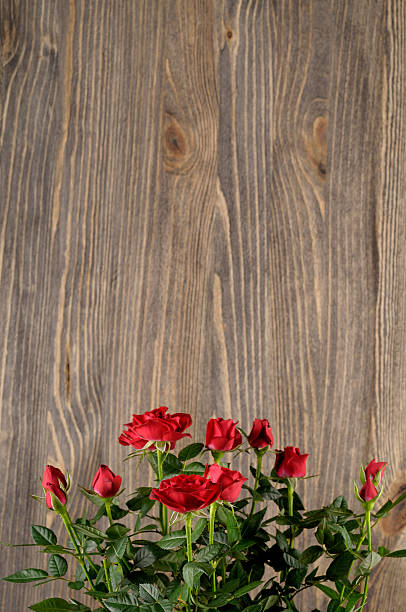 istock Red rose flowers on a wooden background 511523576