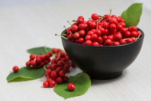 Schisandra chinensis or five flavor berry