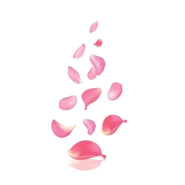 Vector illustration of Falling rose peta