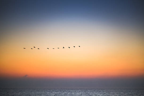 istock Beautiful sunrise over the sea 511525122