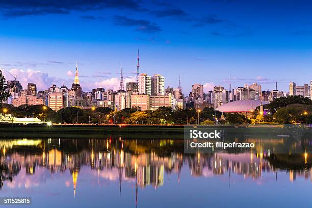 Herrliche Aussicht Auf Die Stadt Von Sao Paulo Zählen Der Ibirapuera Park Brasilien Stockfoto und mehr Bilder von São Paulo