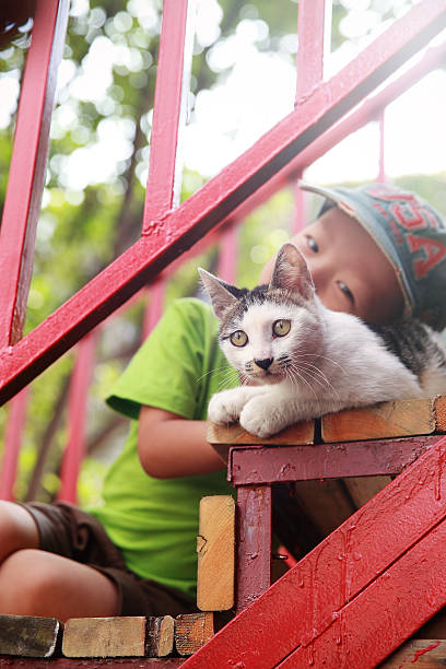 istock Cute children and cat 511526251